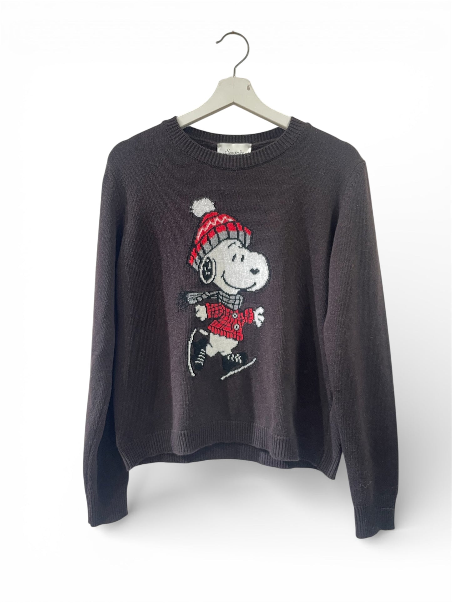 Pull over snoopy Souvenir